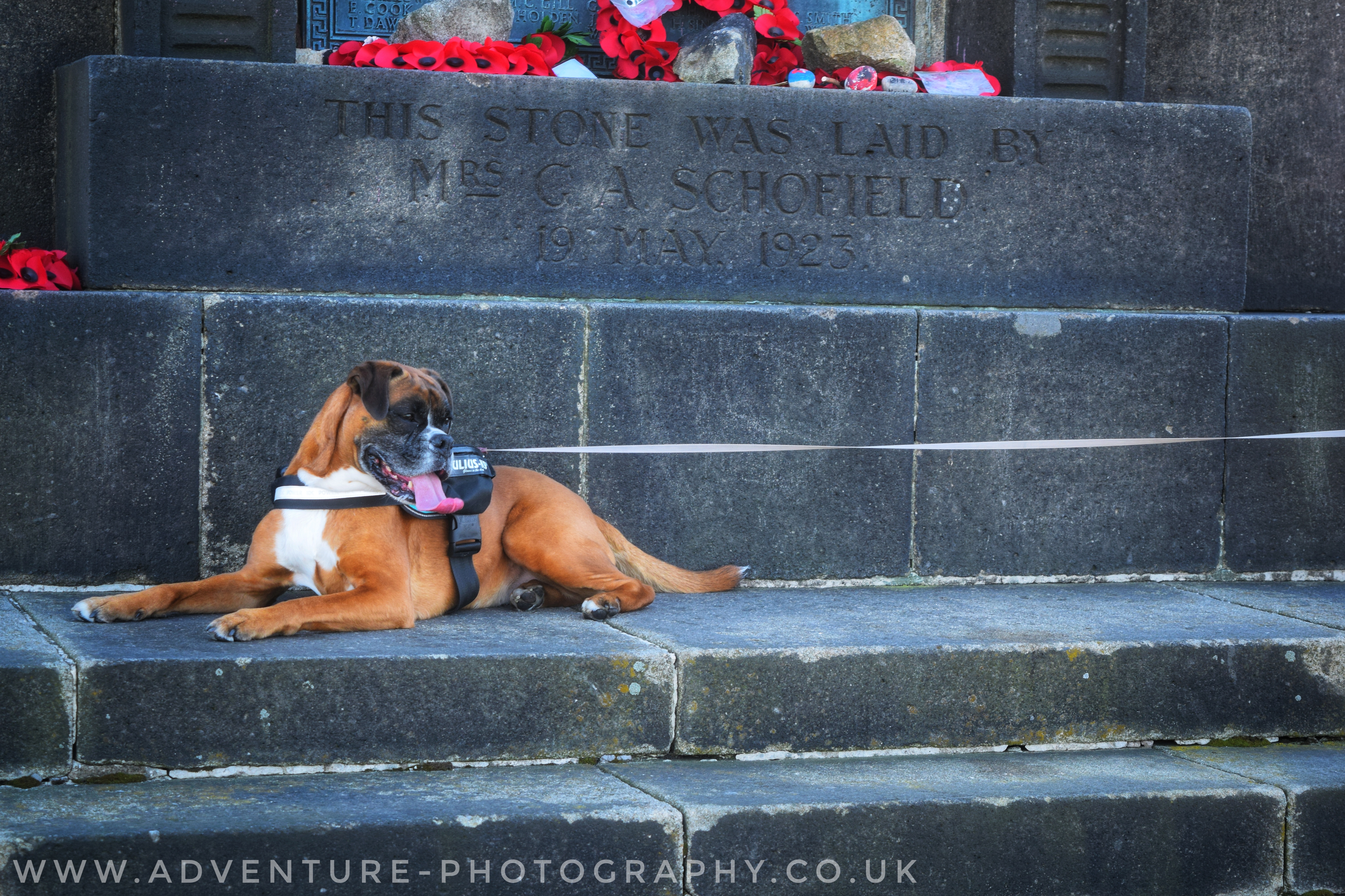 Alderman's Hill
